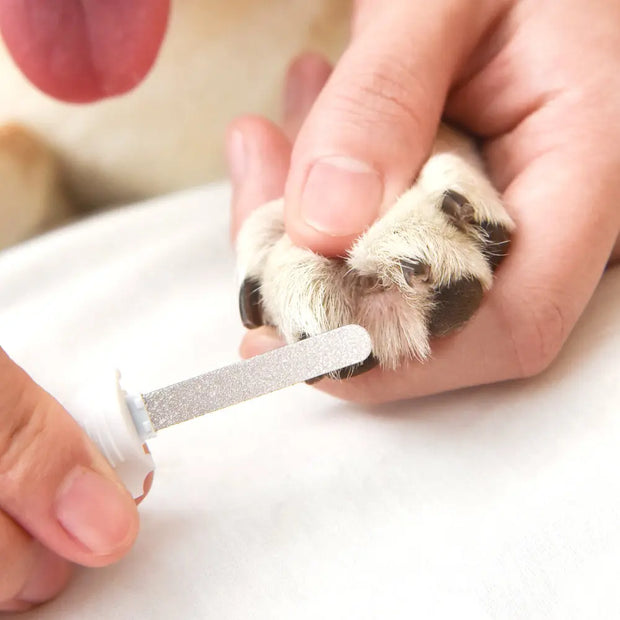 Lumi Dog Nail Clipper - with LED light and Wood's Lamp