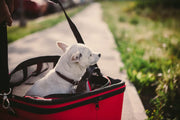 The Deluxe Cozy Pet Carrier One for Pets
