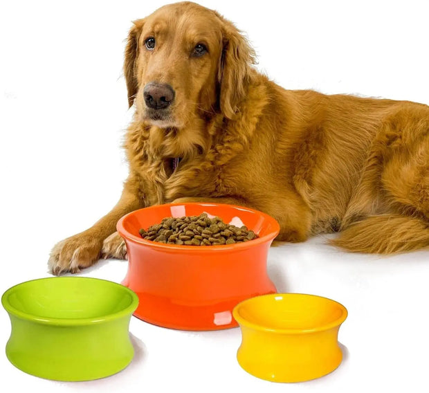 The Kurve Raised Pet Bowl One for Pets