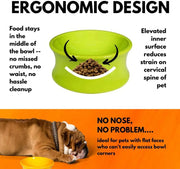 The Kurve Raised Pet Bowl One for Pets