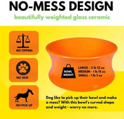 The Kurve Raised Pet Bowl One for Pets