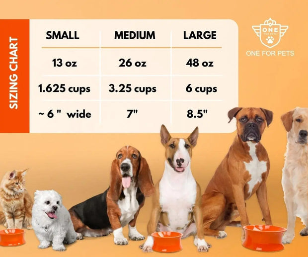 The Kurve Raised Pet Bowl One for Pets