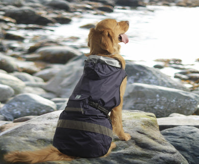 Safety Hooded Raincoat One for Pets