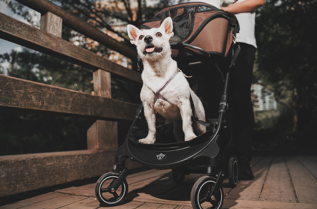 The Chickadee Multi-fit Stroller Base (Base only) - One for Pets