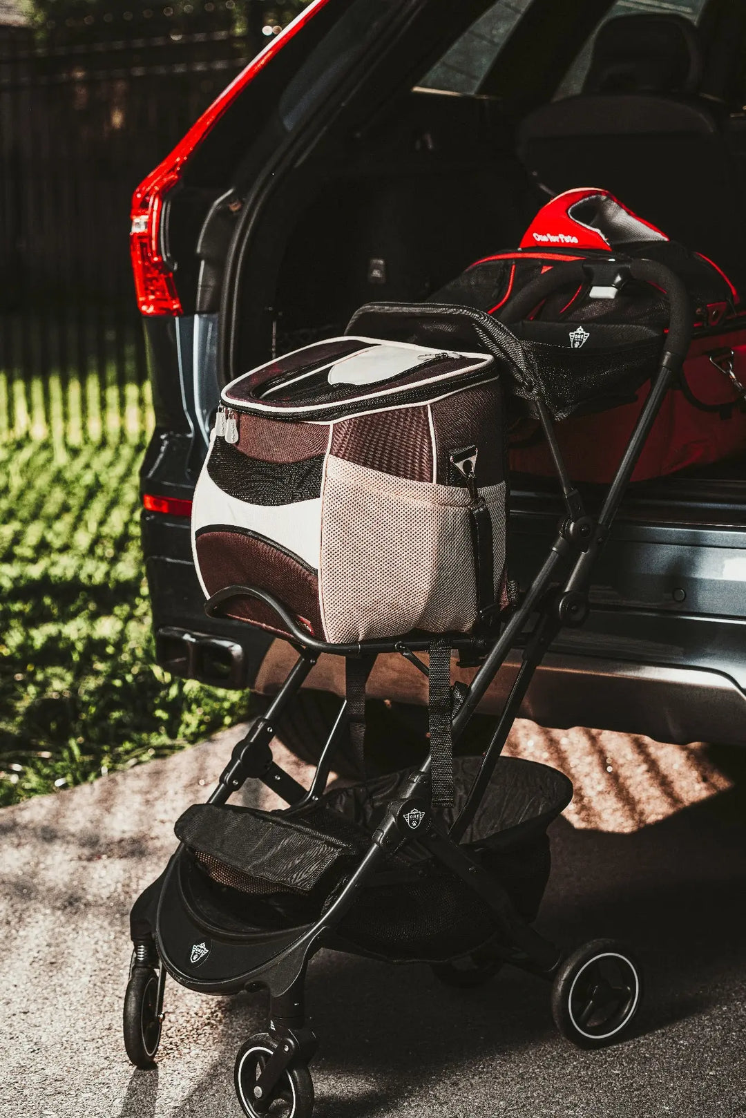 Picture_36_1080x.jpg?v=1700581290